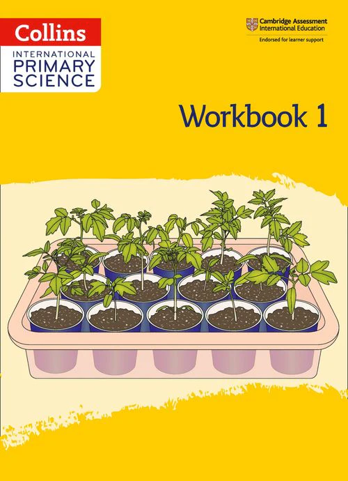Collins International Primary Science - International Primary Science Workbook: Stage 1: (Second edition)