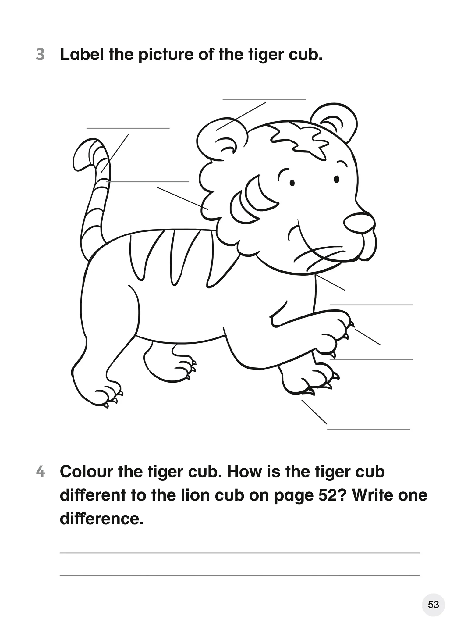 Collins Explore English - Explore English Student’s Coursebook: Stage 2: (Second edition) - Image 6