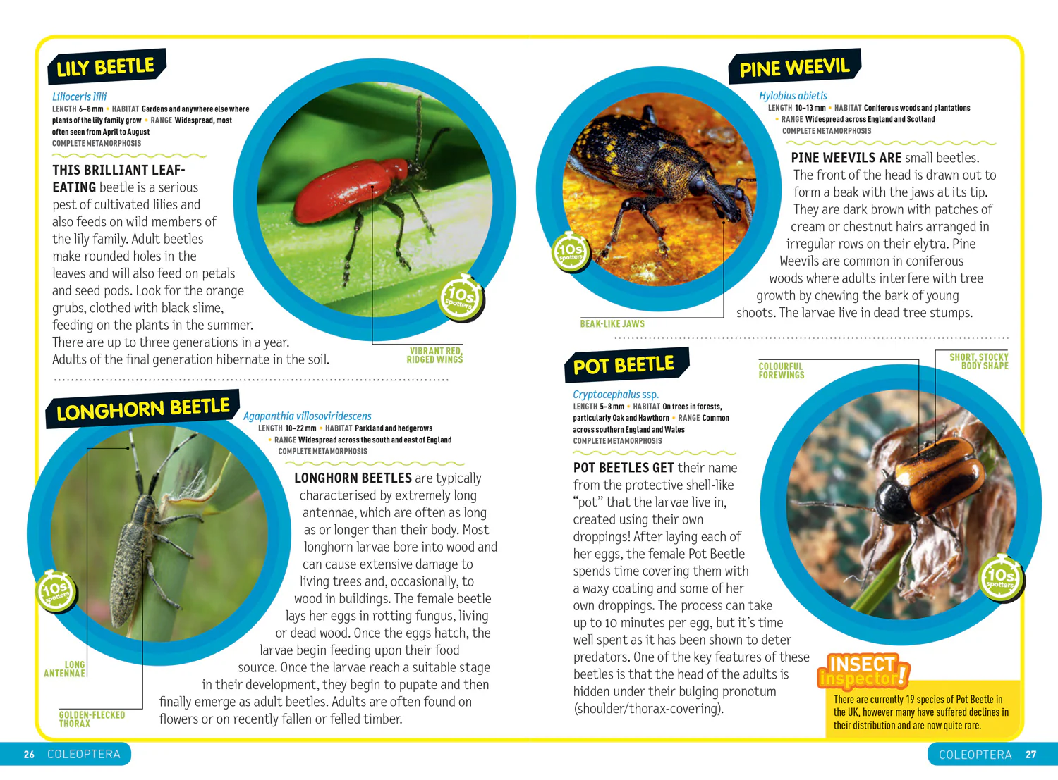 National Geographic Kids - Ultimate Explorer Field Guides British Insects: Find Adventure! Have Fun Outdoors! Be a Bug Detective! - Image 3