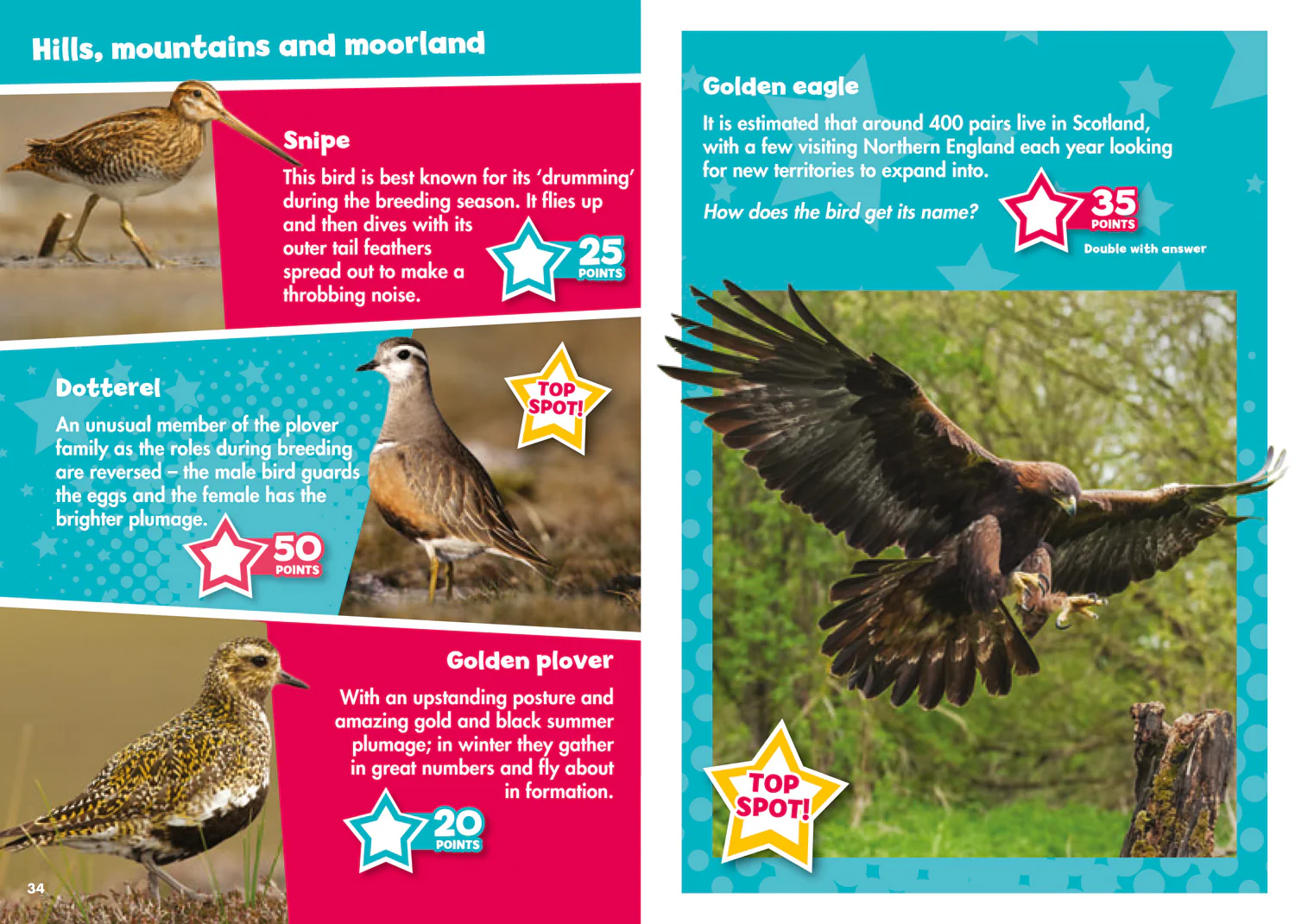 Collins Michelin i-SPY Guides - i-SPY Birds: Spy it! Score it!