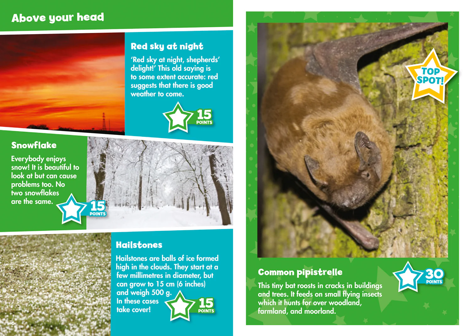 Collins Michelin i-SPY Guides - i-SPY Nature: Spy it! Score it!