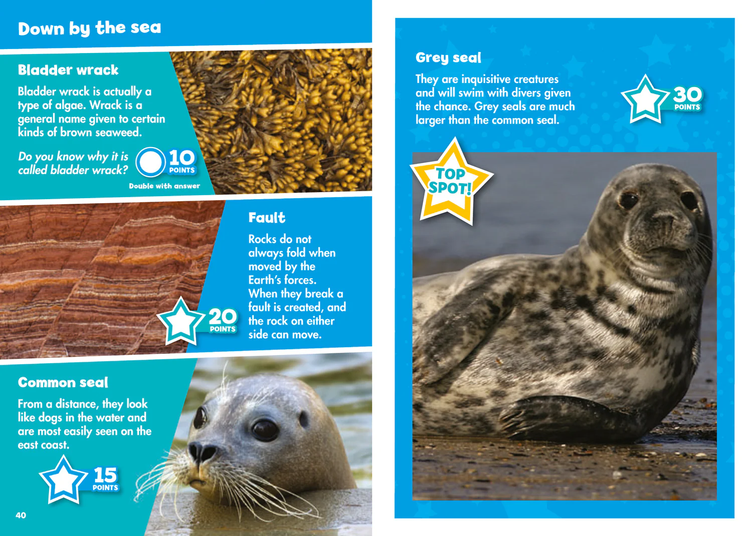 Collins Michelin i-SPY Guides - i-SPY Nature: Spy it! Score it! - Image 2