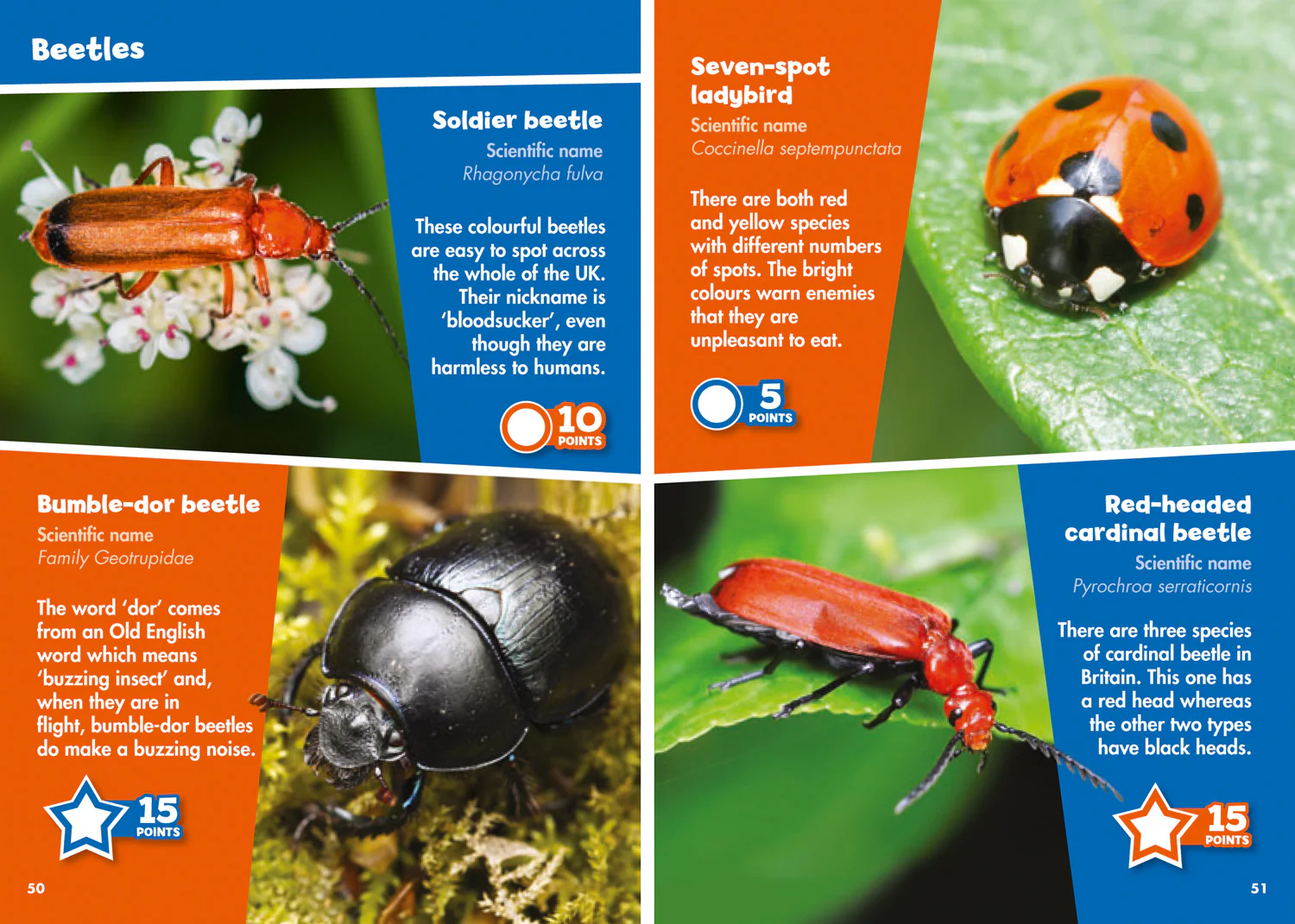 Collins Michelin i-SPY Guides - i-SPY Creepy Crawlies: Spy it! Score it! - Image 3