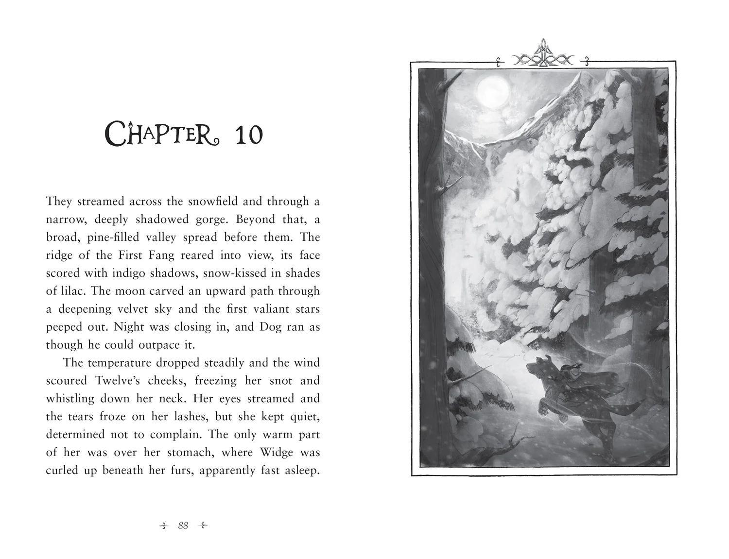 Fireborn: Twelve and the Frozen Forest - Image 4