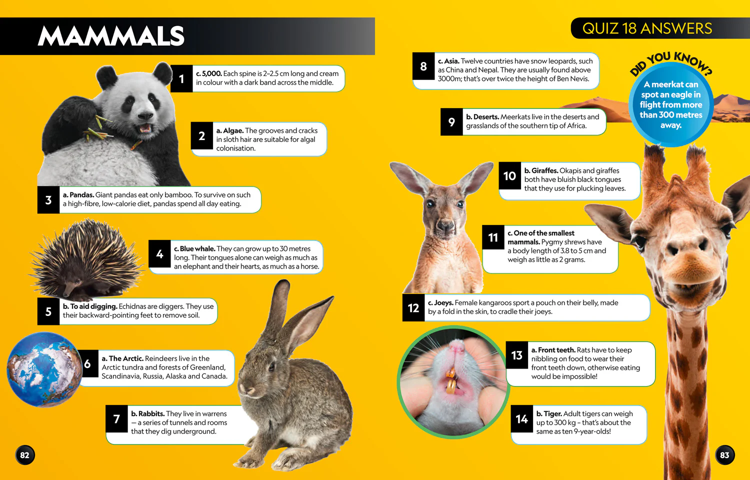 National Geographic Kids - Big Quiz Book: 1001 brain busting trivia questions - Image 3