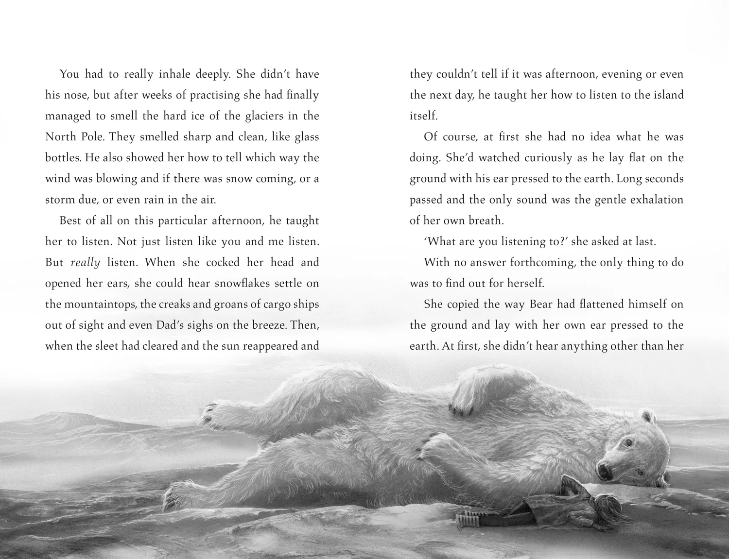 The Last Bear - Image 3