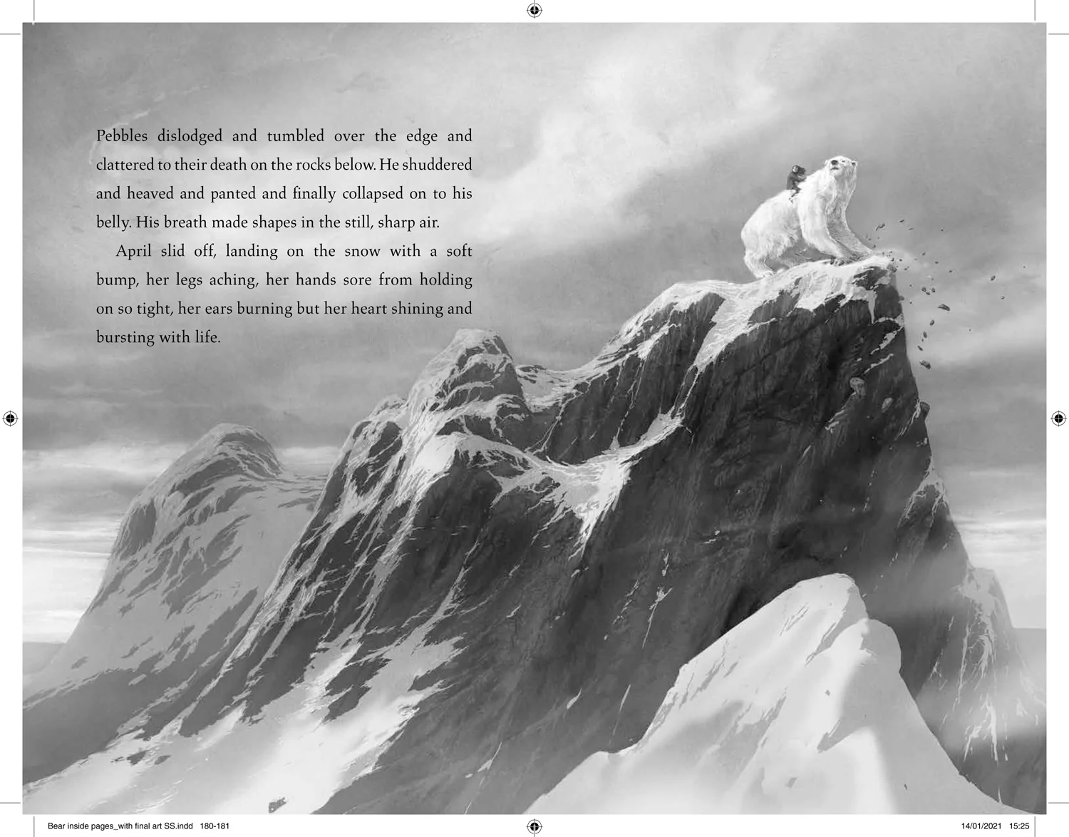 The Last Bear - Image 5