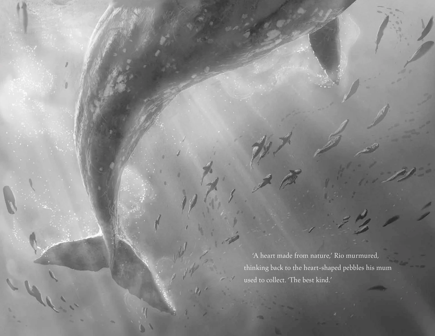 The Lost Whale - Image 2