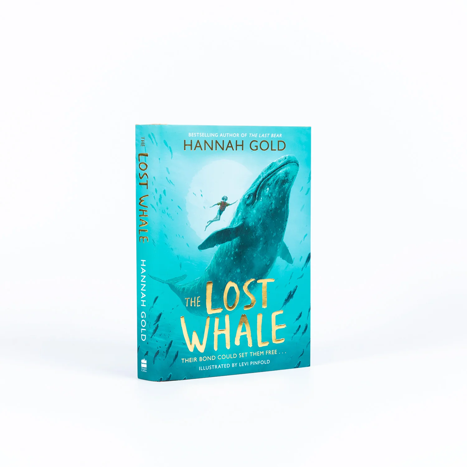 The Lost Whale - Image 5