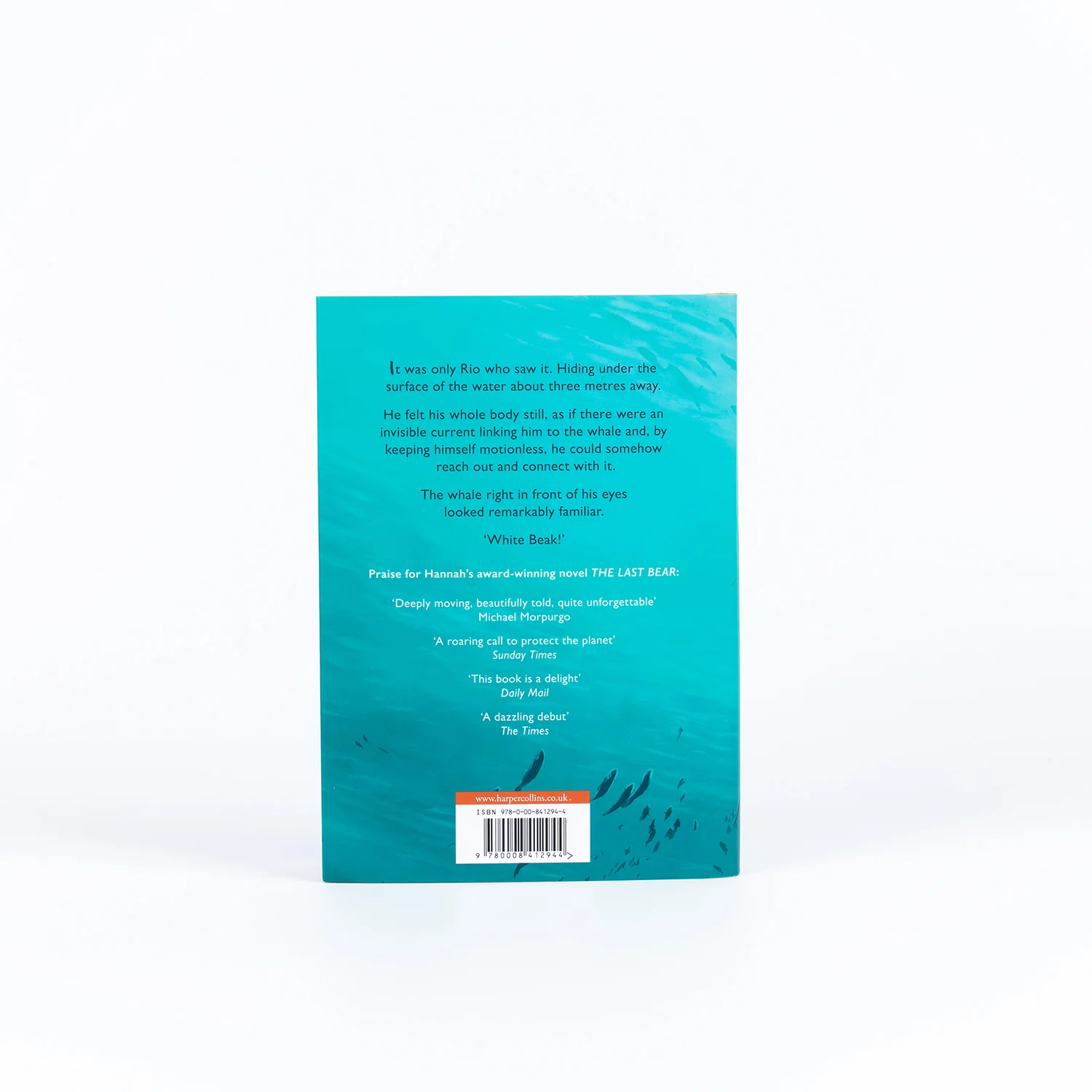 The Lost Whale - Image 7