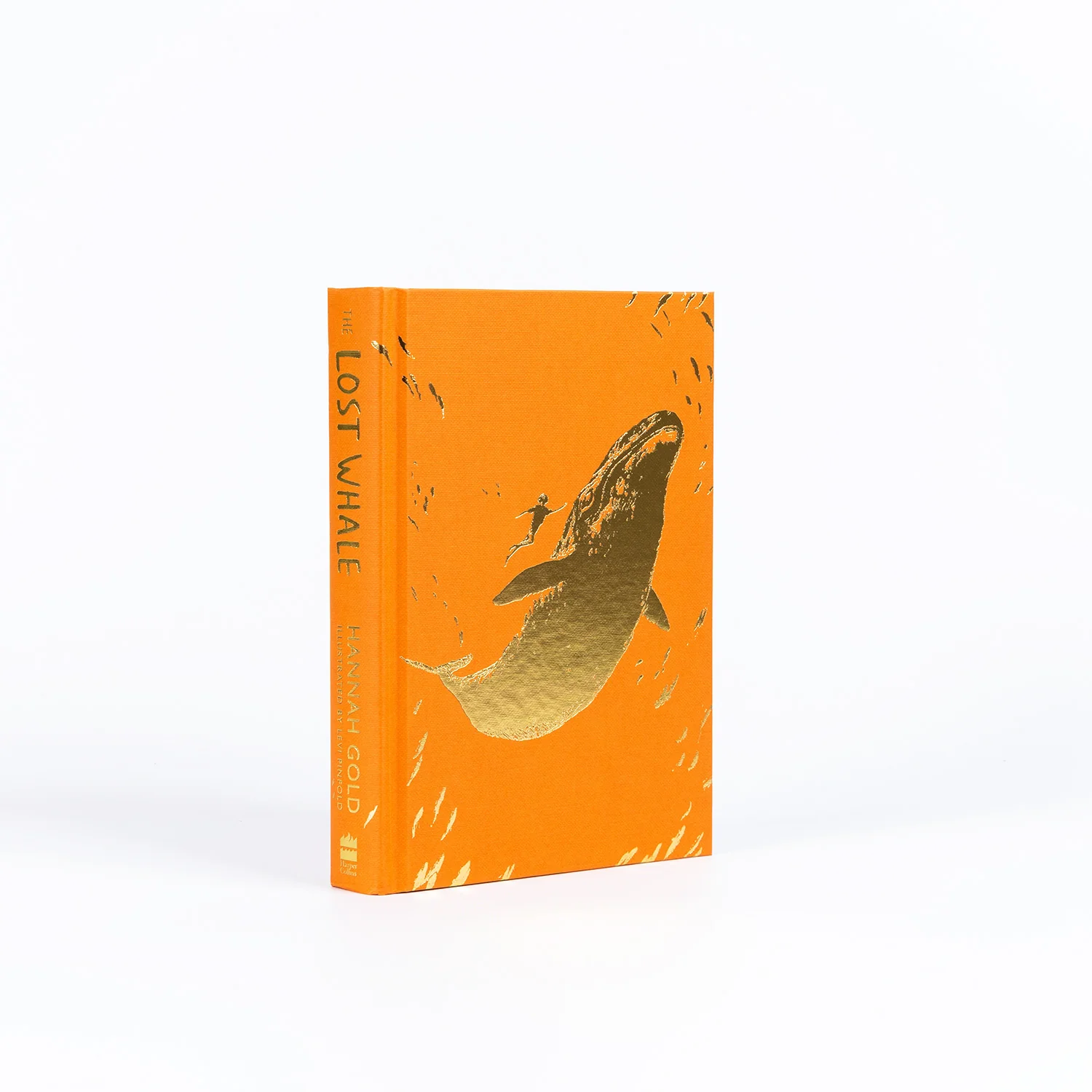 The Lost Whale - Image 8