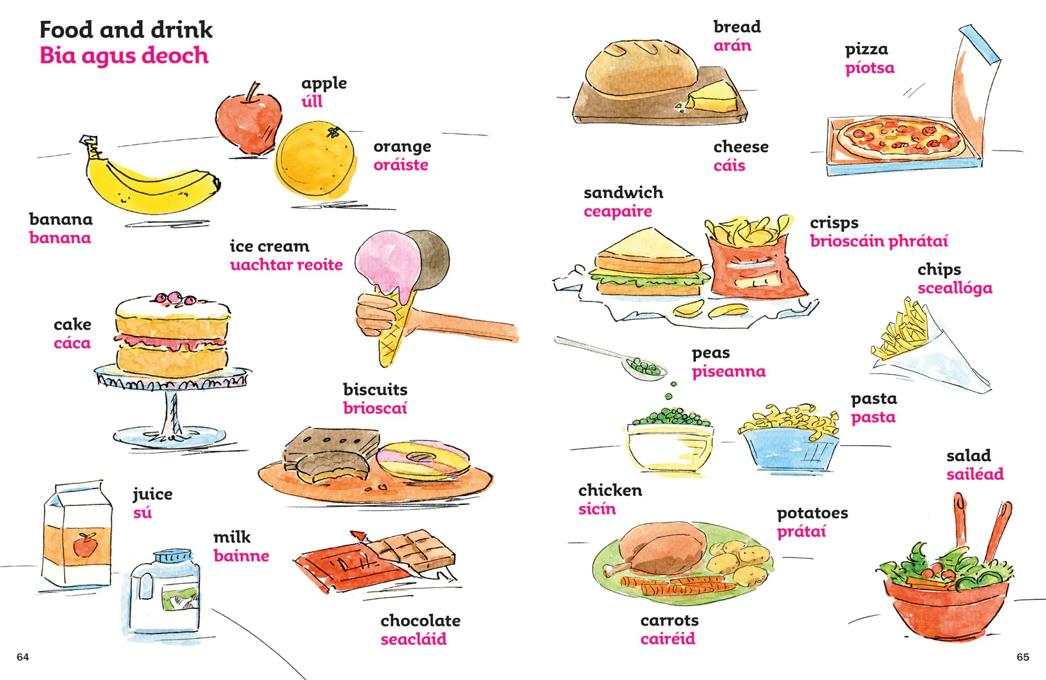 Collins First Dictionaries - First Irish Dictionary: 500 first words for ages 5+ (Third edition) - Image 3