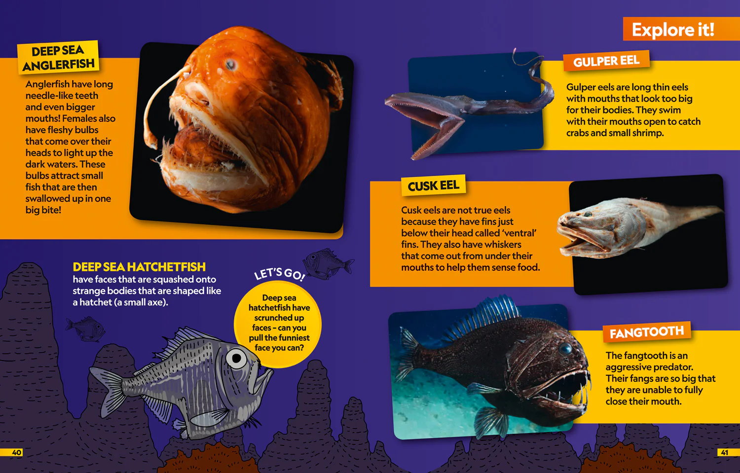 National Geographic Kids - Oceans Find it! Explore it!: More than 250 things to find, facts and photos! - Image 5