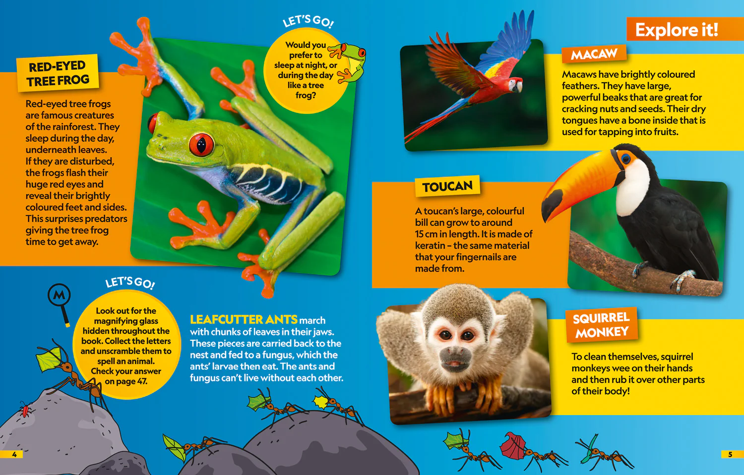 National Geographic Kids - Animals Find it! Explore it!: More than 250 things to find, facts and photos! - Image 3