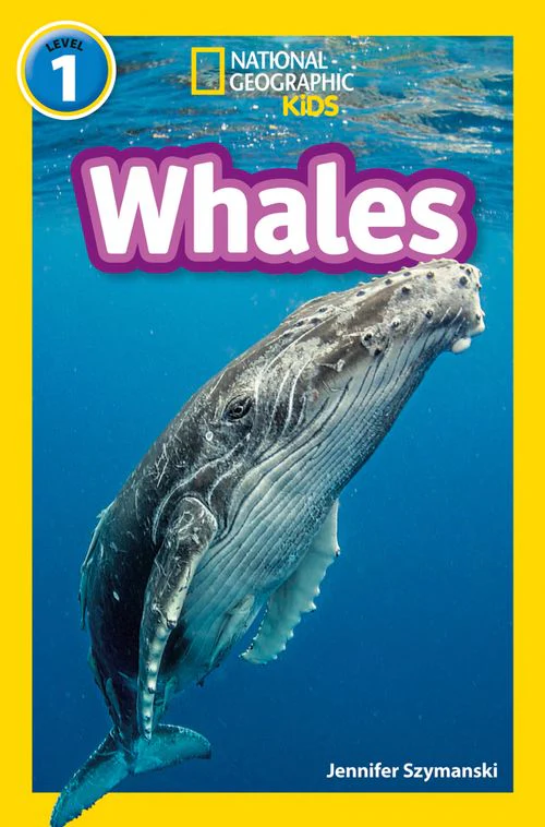 National Geographic Readers - Whales: Level 1 - Image 6