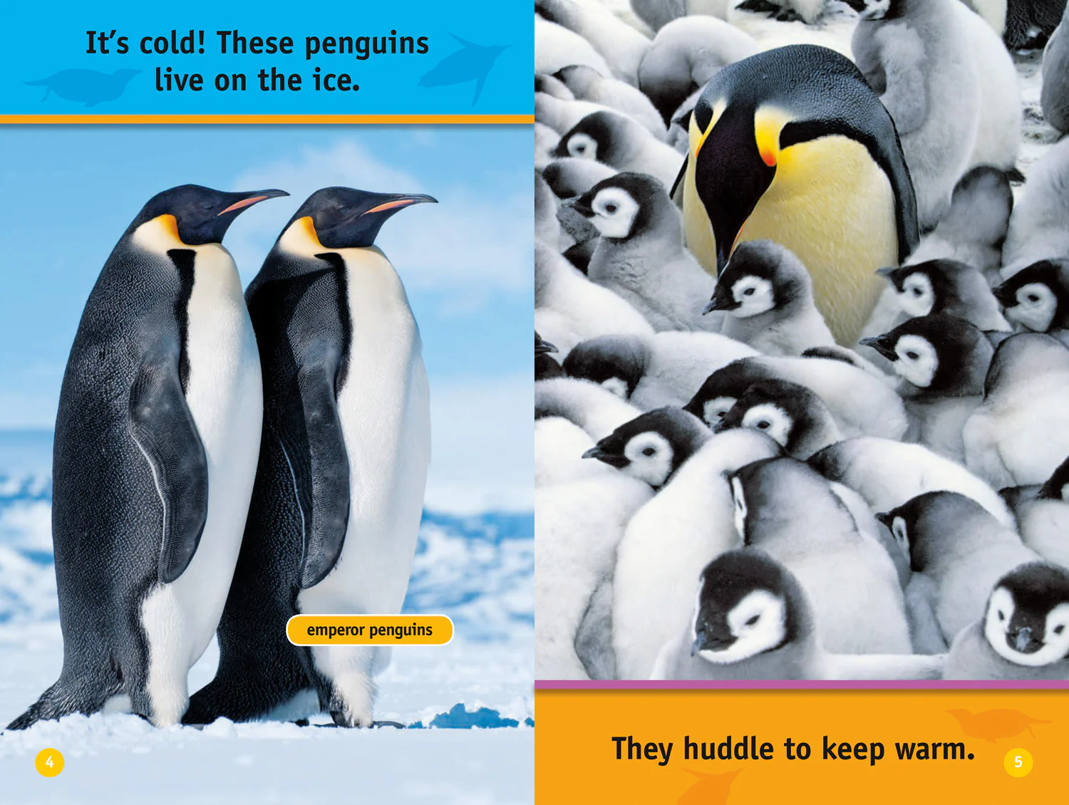 National Geographic Readers - Hello, Penguin!: Level 1 - Image 3