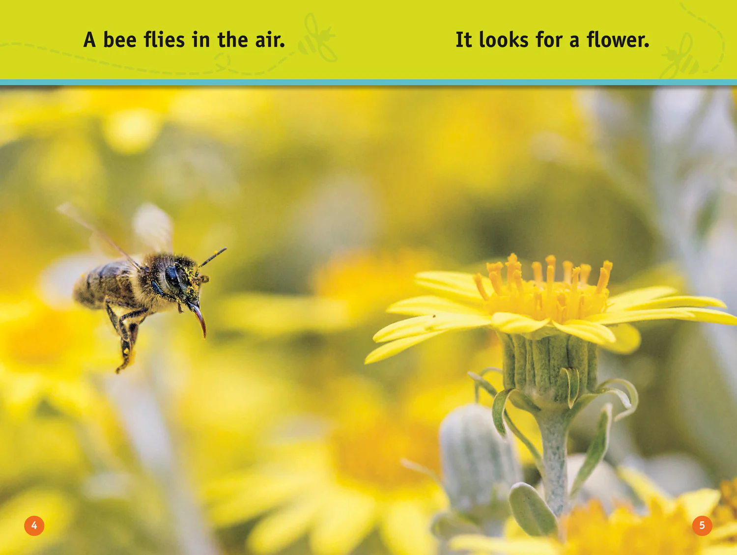 National Geographic Readers - Buzz, Bee!: Level 1 - Image 3