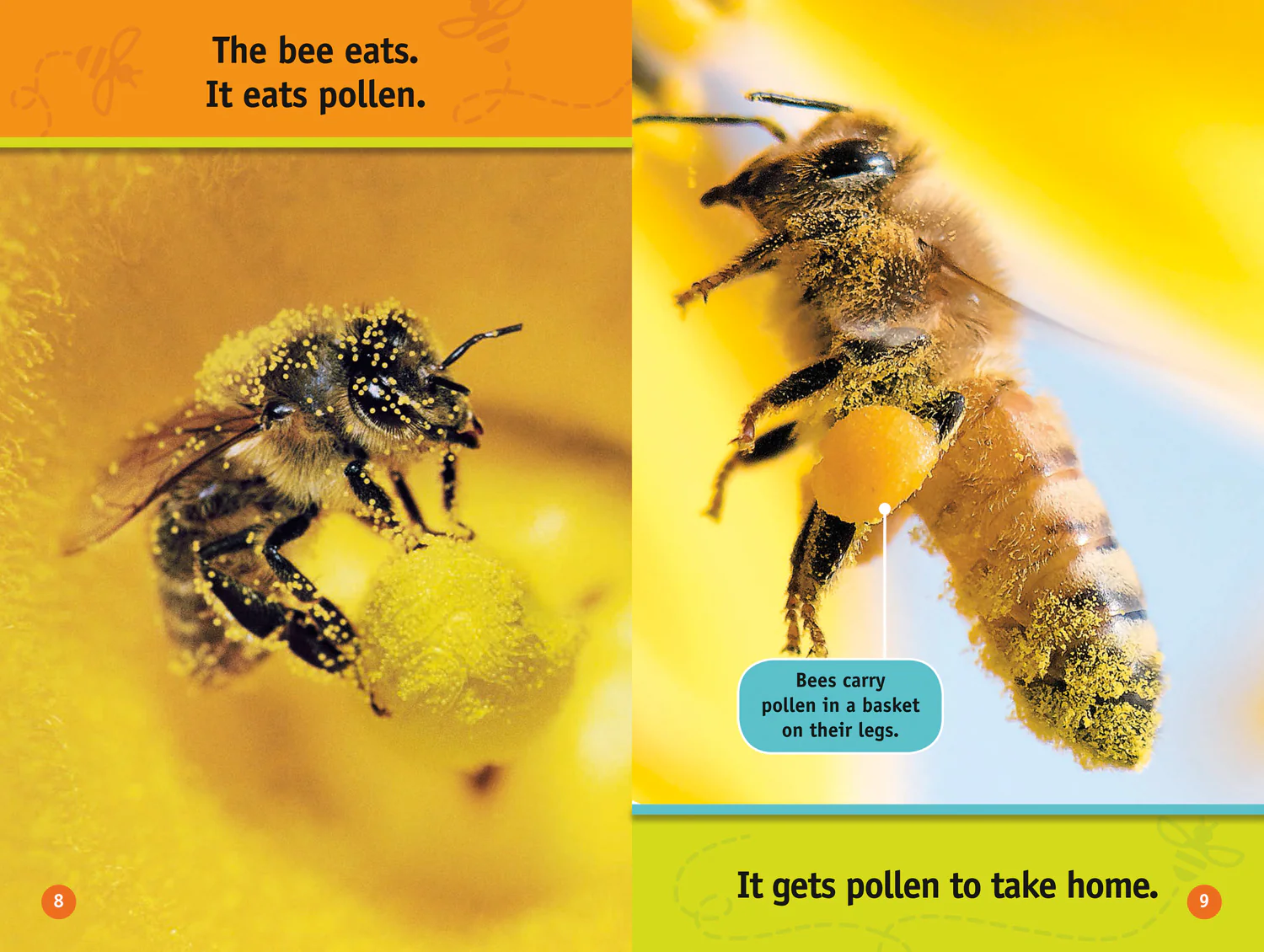 National Geographic Readers - Buzz, Bee!: Level 1 - Image 5