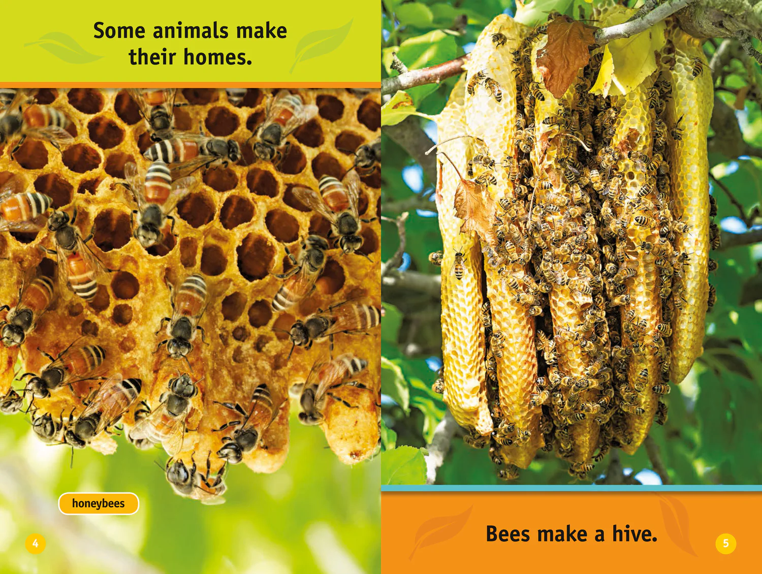 National Geographic Readers - Animal Homes: Level 1 - Image 3