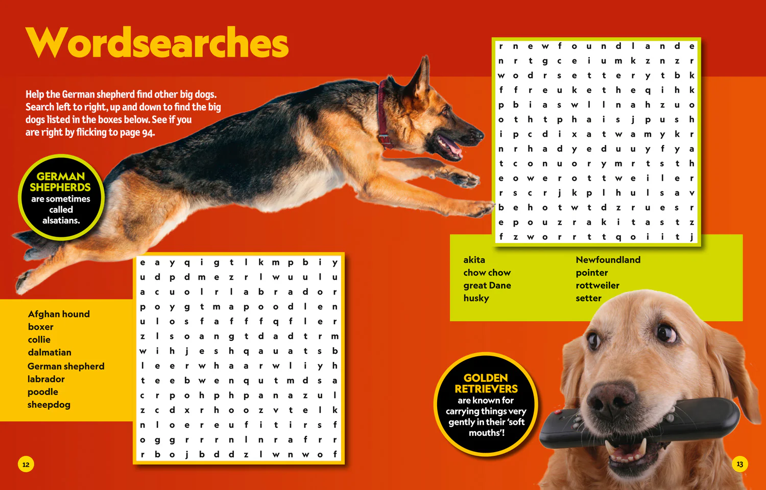National Geographic Kids - Puzzle Book Dogs: Brain-tickling quizzes, sudokus, crosswords and wordsearches - Image 3