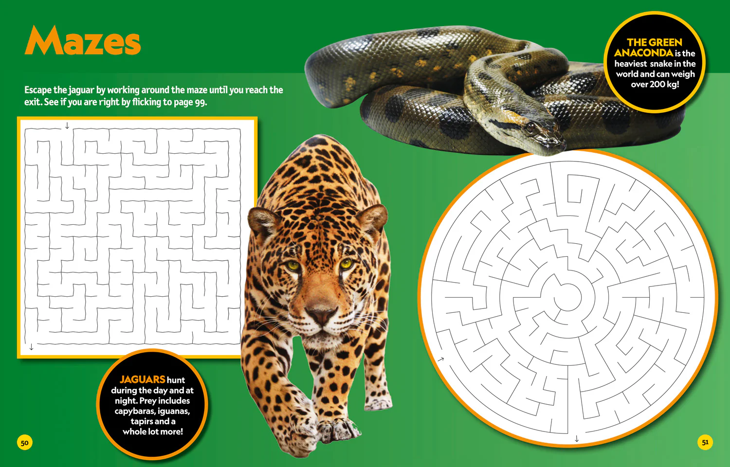 National Geographic Kids - Puzzle Book Deadly Creatures: Brain-tickling quizzes, sudokus, crosswords and wordsearches - Image 5