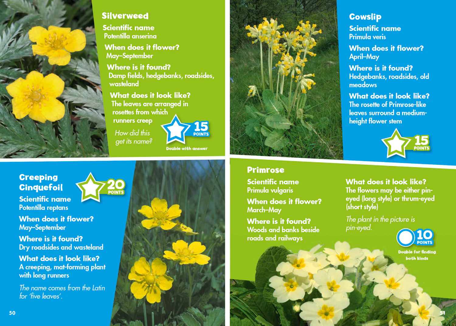 Collins Michelin i-SPY Guides - i-SPY Wildflowers: Spy it! Score it! - Image 3