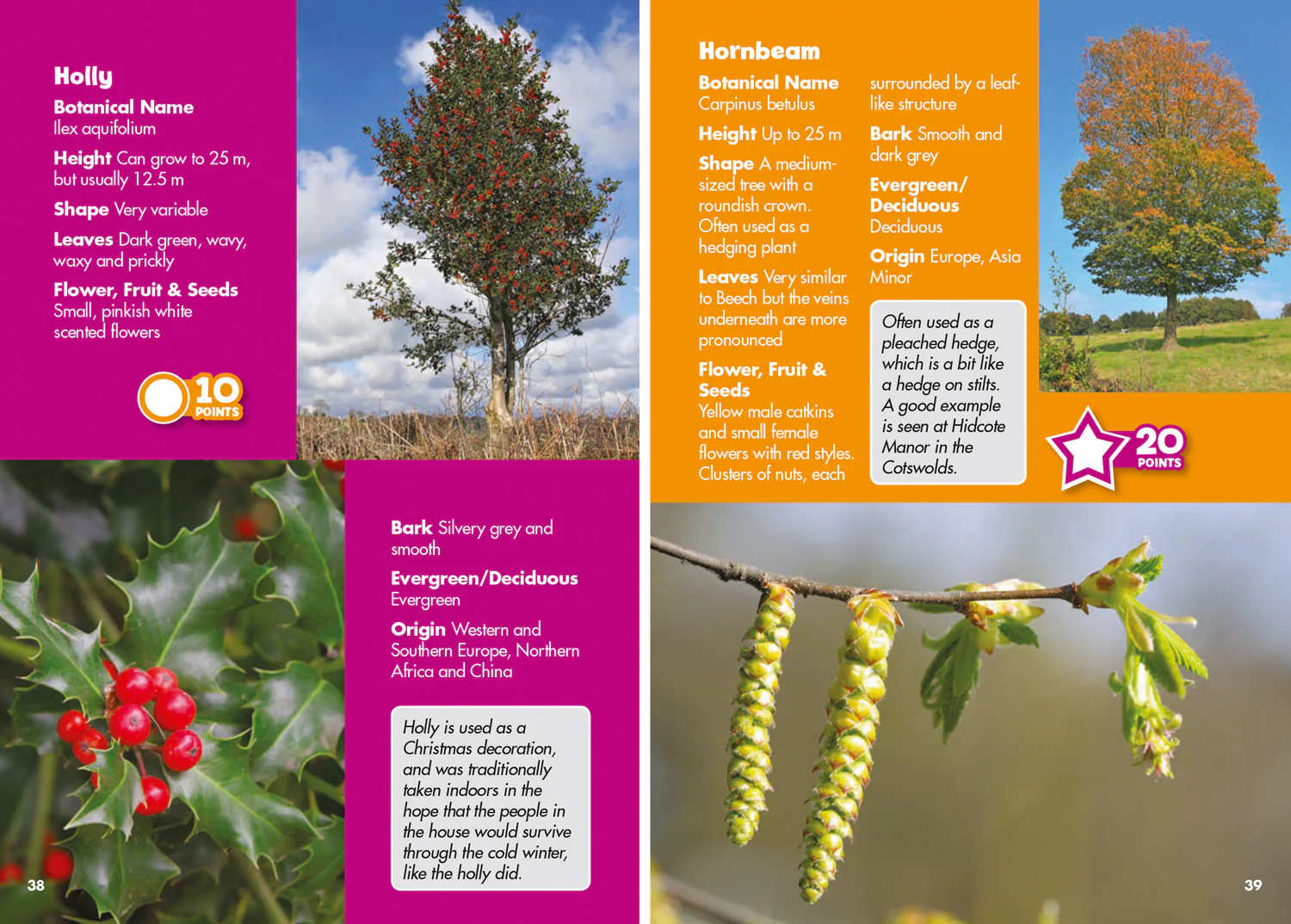 Collins Michelin i-SPY Guides - i-SPY Trees: Spy it! Score it! - Image 3
