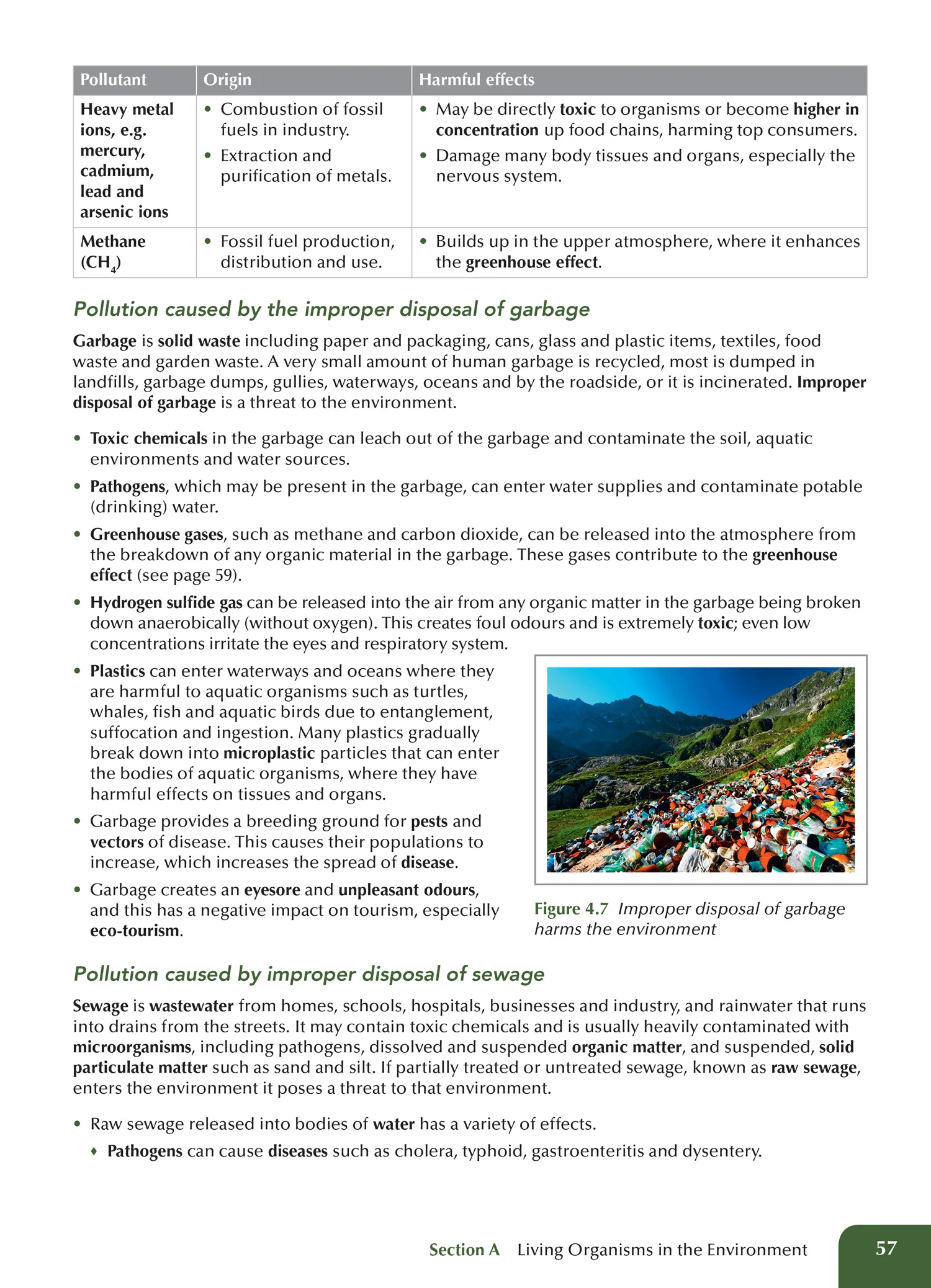 Collins CSEC - Collins CSEC® Biology - Image 5