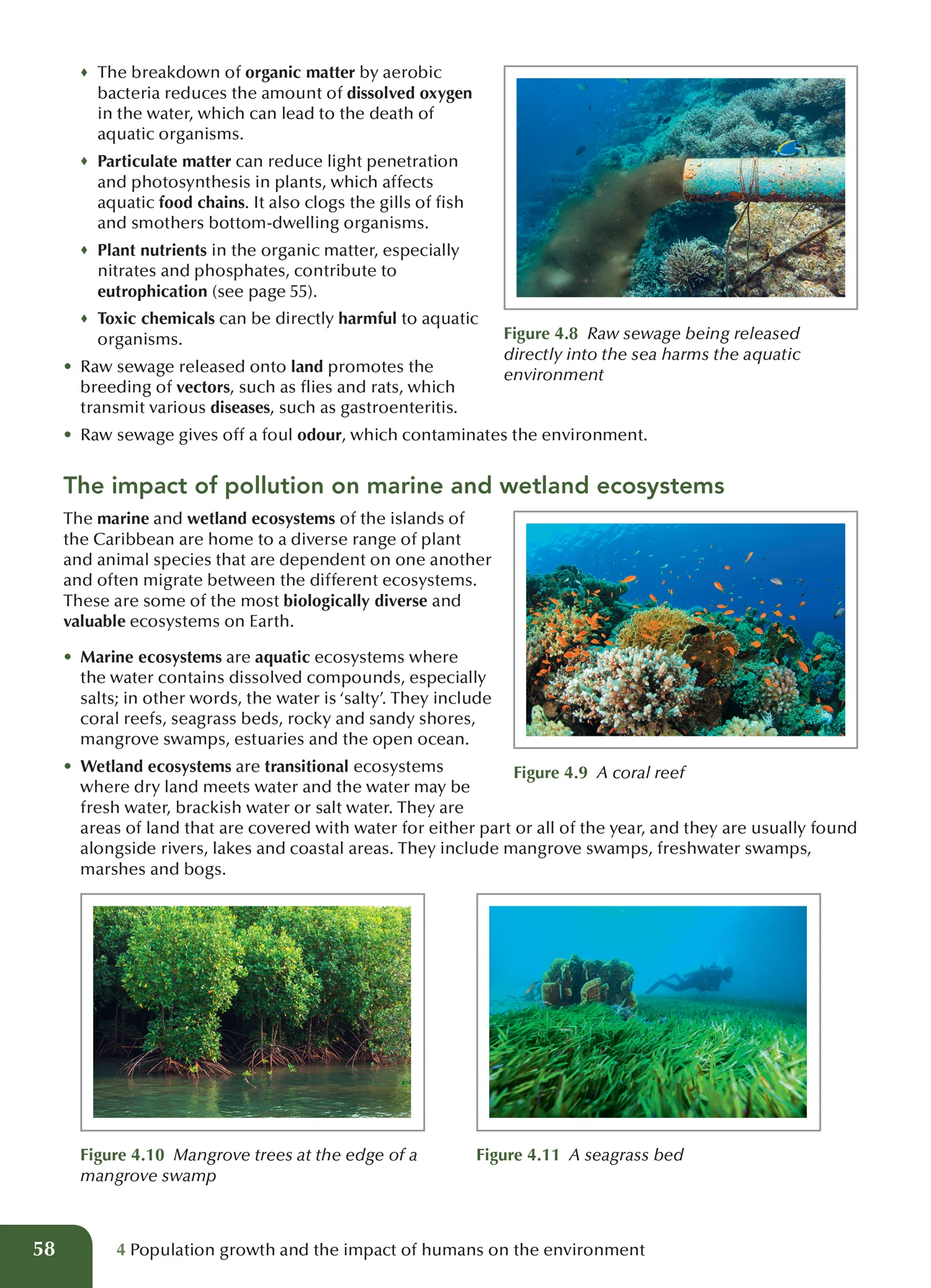 Collins CSEC - Collins CSEC® Biology - Image 6