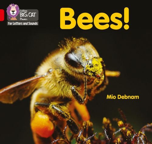 Collins Big Cat Phonics for Letters and Sounds - Bees!: Band 02B/Red B - Image 4
