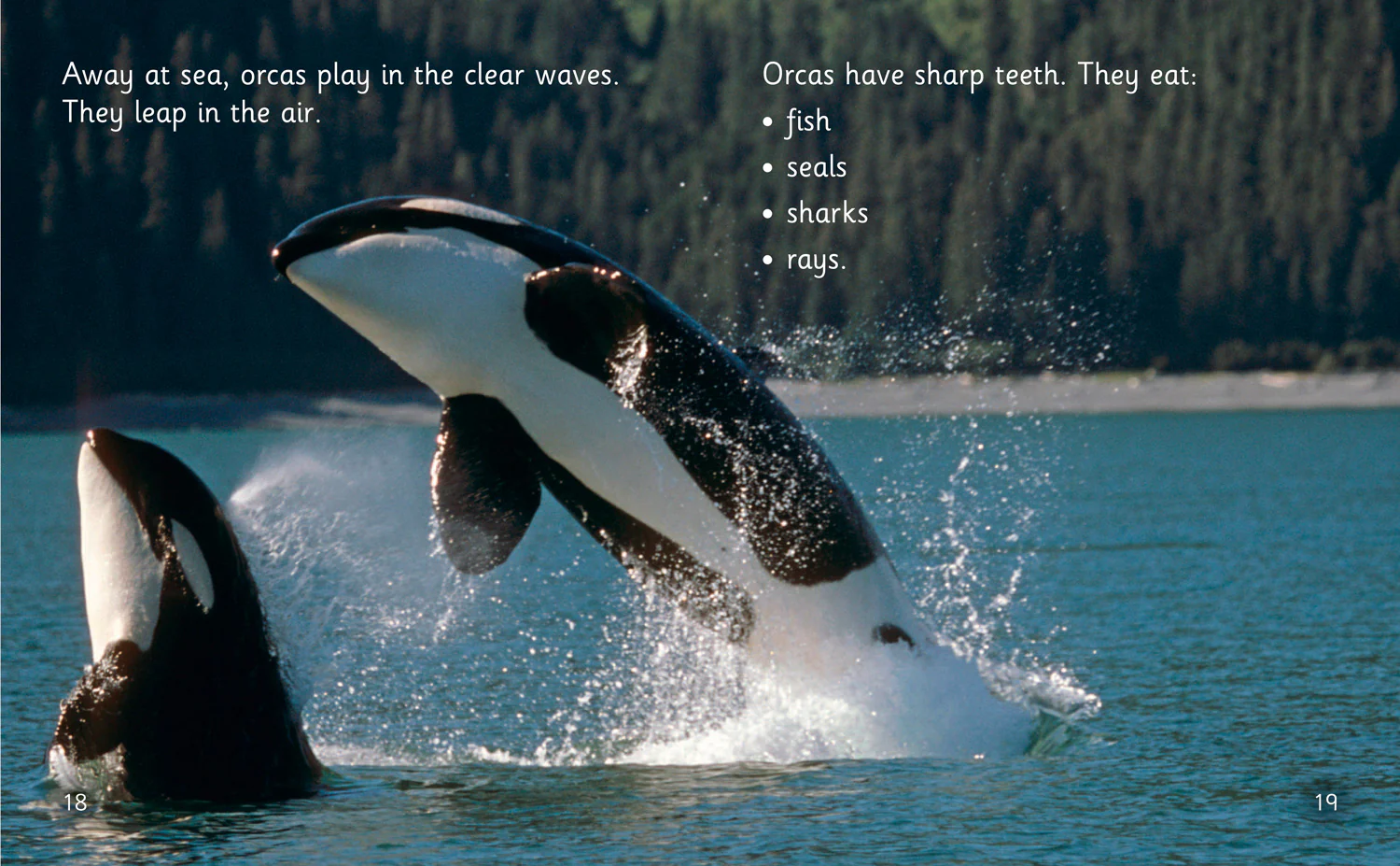 Collins Big Cat Phonics for Letters and Sounds - Beaches and Bays: Band 05/Green - Image 3