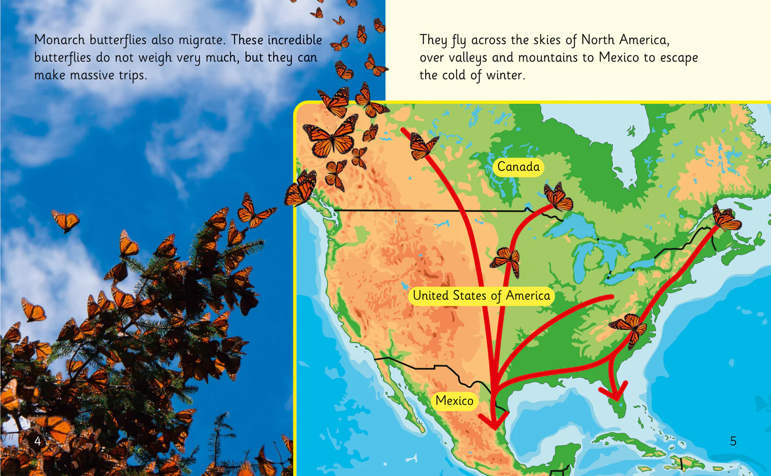 Collins Big Cat Phonics for Letters and Sounds - The Incredible Lives of Monarch Butterflies: Band 06/Orange