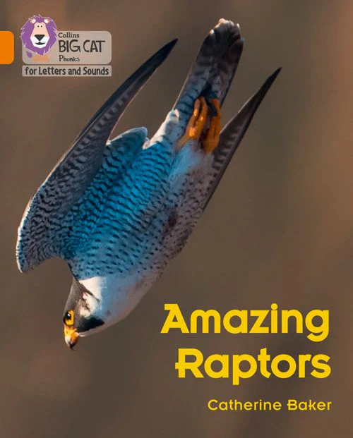 Collins Big Cat Phonics for Letters and Sounds - Amazing Raptors: Band 06/Orange - Image 4