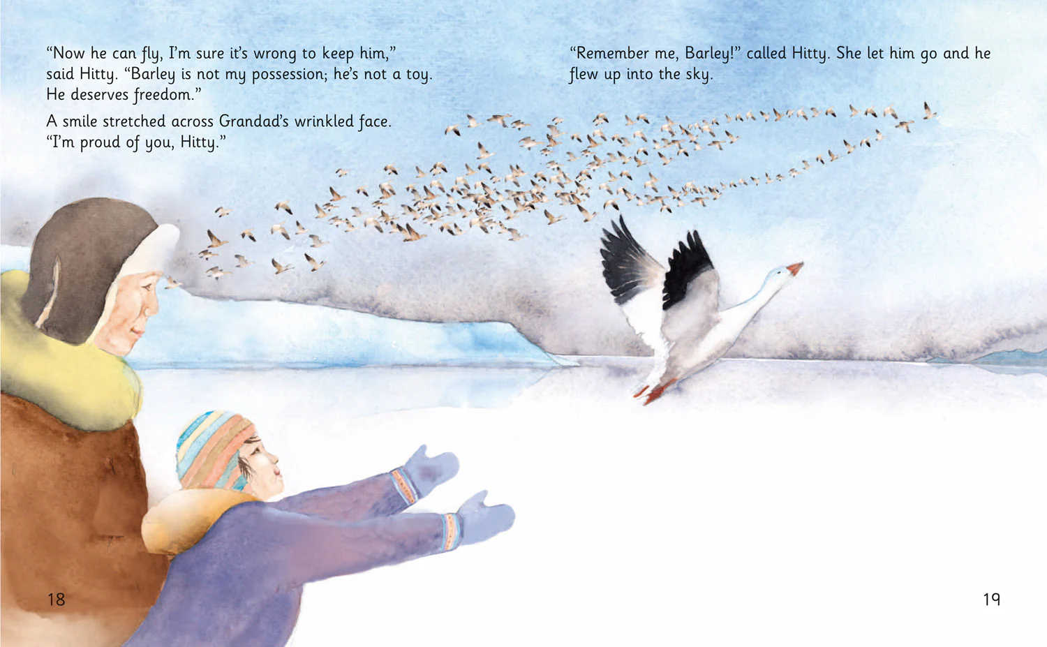 Collins Big Cat Phonics for Letters and Sounds - Hitty's Goose: Band 07/Turquoise - Image 3