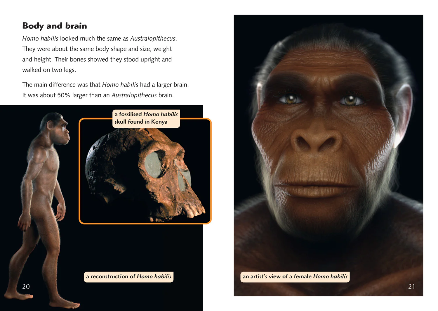 Collins Big Cat - The Story of Us: Becoming Human: Band 18/Pearl - Image 2