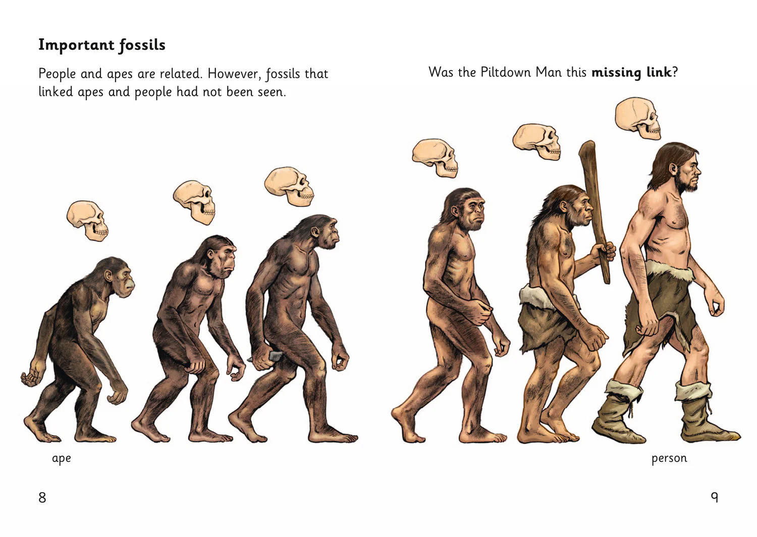 Collins Big Cat Phonics for Letters and Sounds – Age 7+ - The Case of the Piltdown Man: Band 05/Green - Image 3