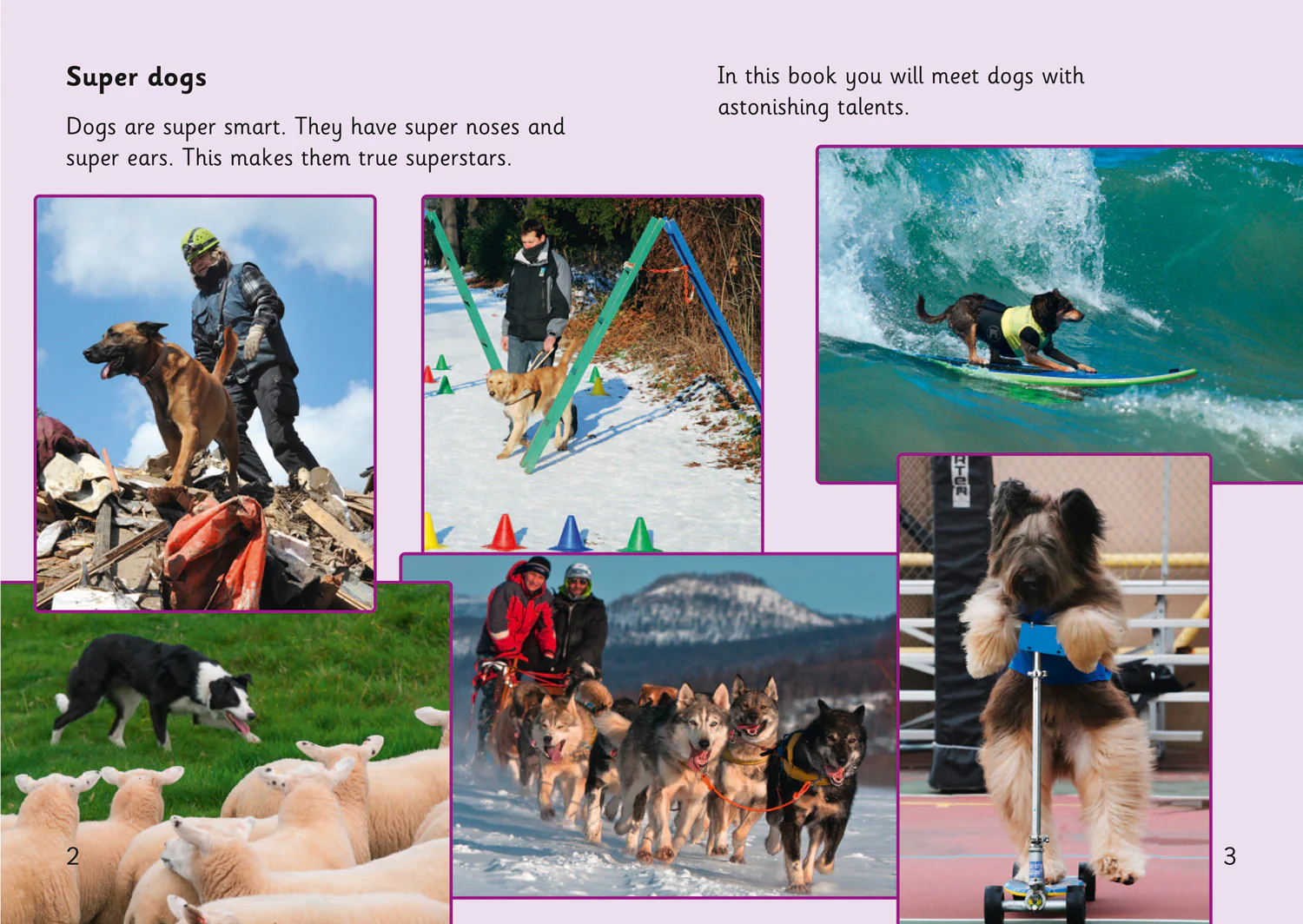 Collins Big Cat Phonics for Letters and Sounds – Age 7+ - Super Dogs: Band 05/Green - Image 2