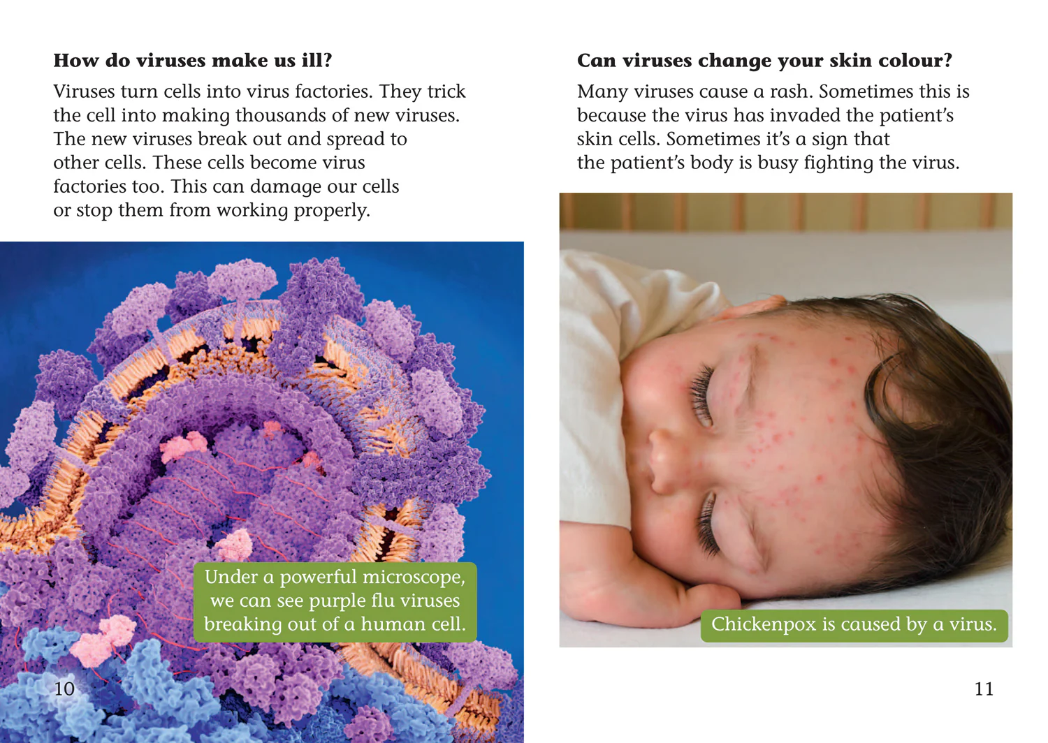 Collins Big Cat - Shinoy and the Chaos Crew: What are viruses?: Band 08/Purple - Image 3