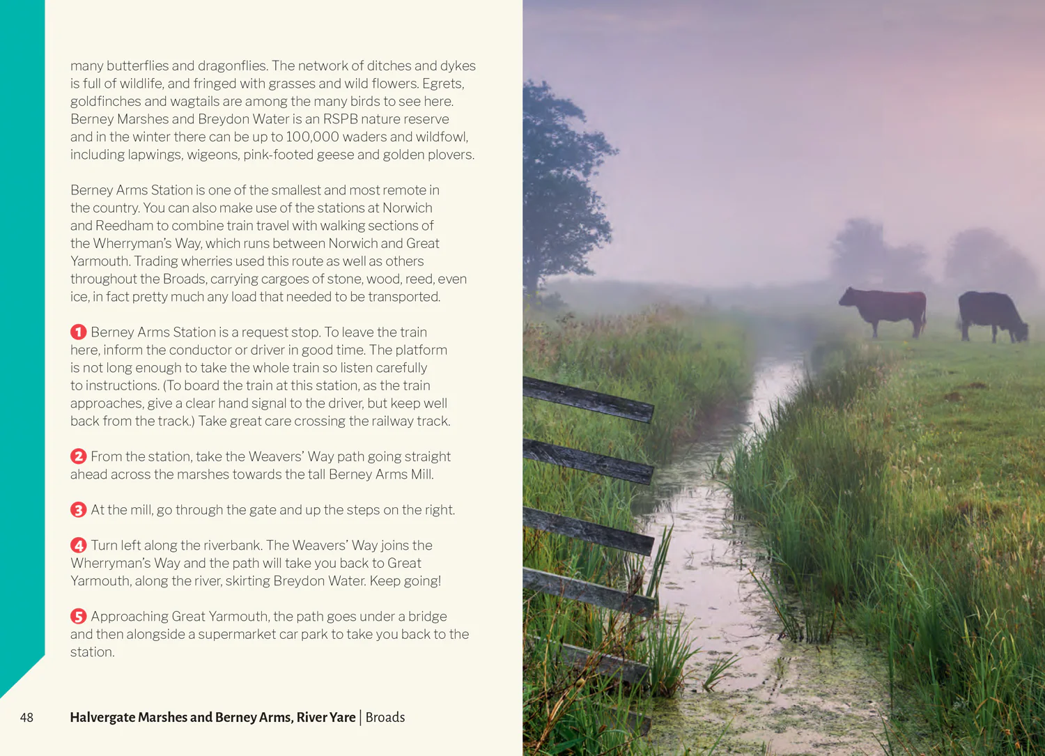 Broads Park Rangers Favourite Walks: 20 of the best routes chosen and written by National park rangers - Image 5