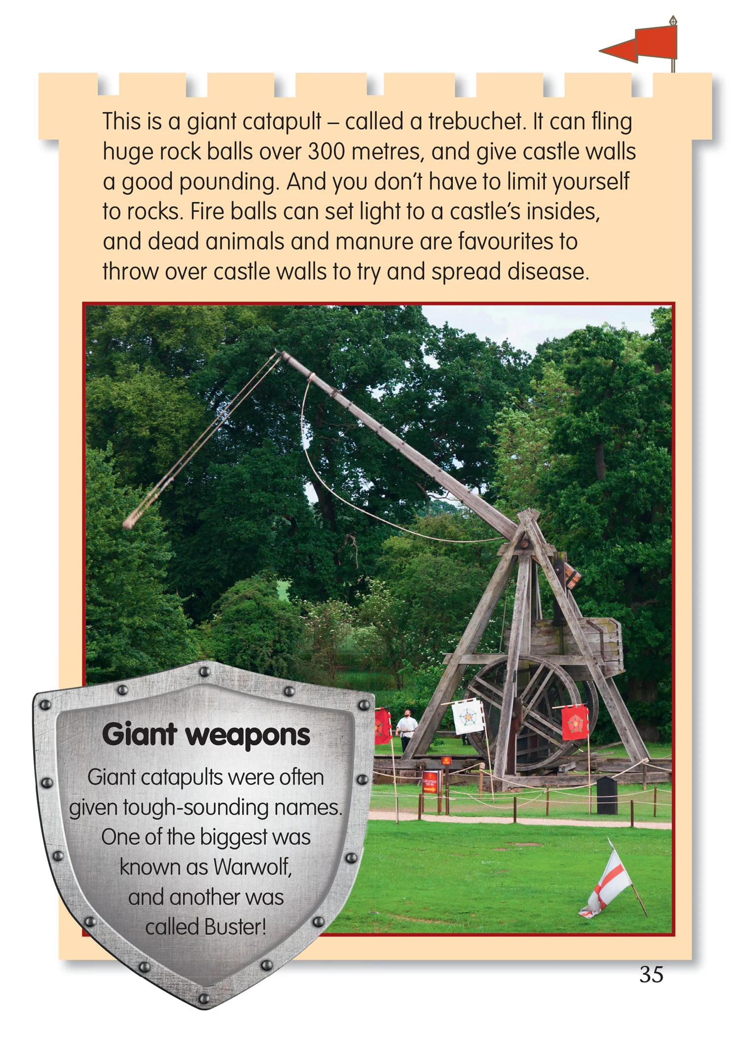 Collins Big Cat - How to Capture a Castle: Band 11+/Lime Plus - Image 6
