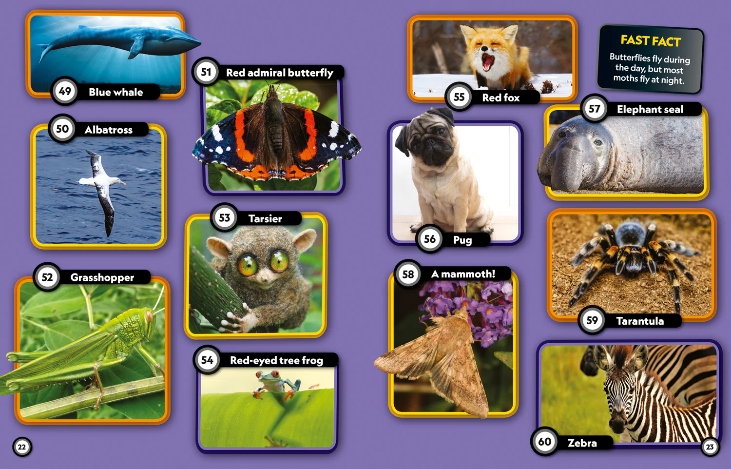 National Geographic Kids - Animal Riddles Book: 300 fun riddles and brain-teasers - Image 4