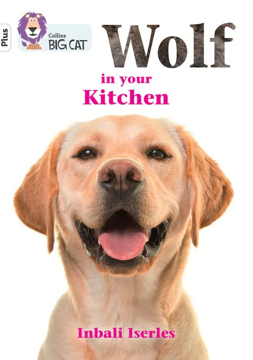 Collins Big Cat - Wolf in your kitchen: Band 10+/White Plus