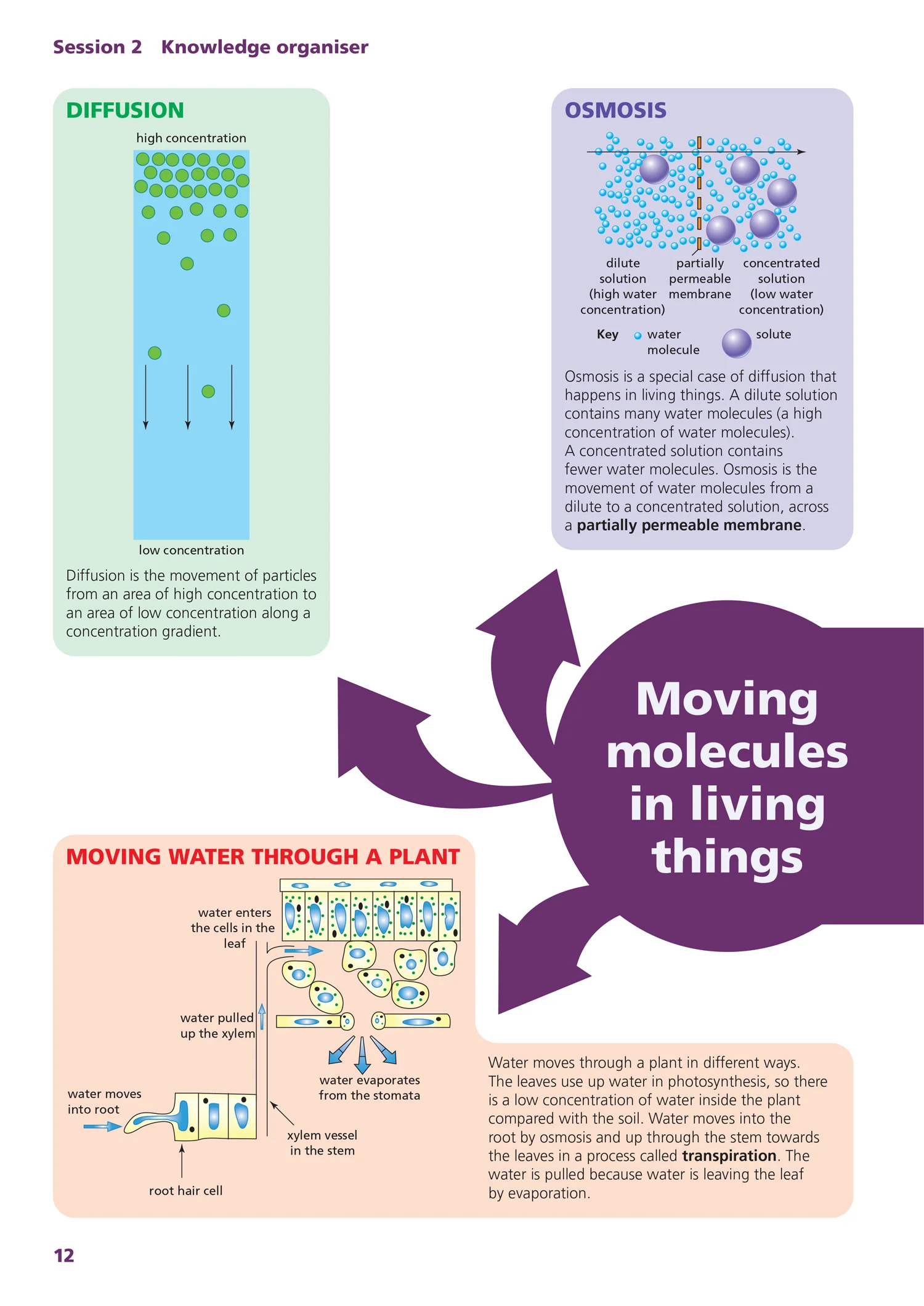 Secure Science - Secure Science for GCSE Workbook: Intervention to get back on track - Image 2
