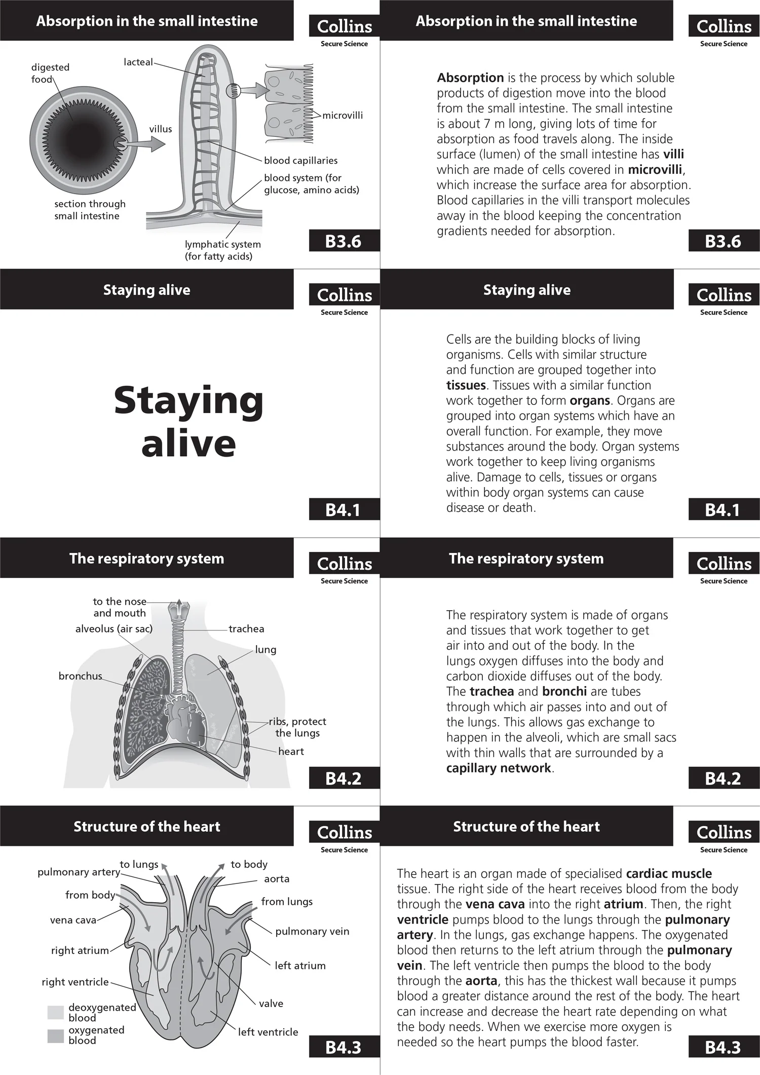 Secure Science - Secure Science for GCSE Teacher Resource Pack: Intervention to get back on track - Image 6