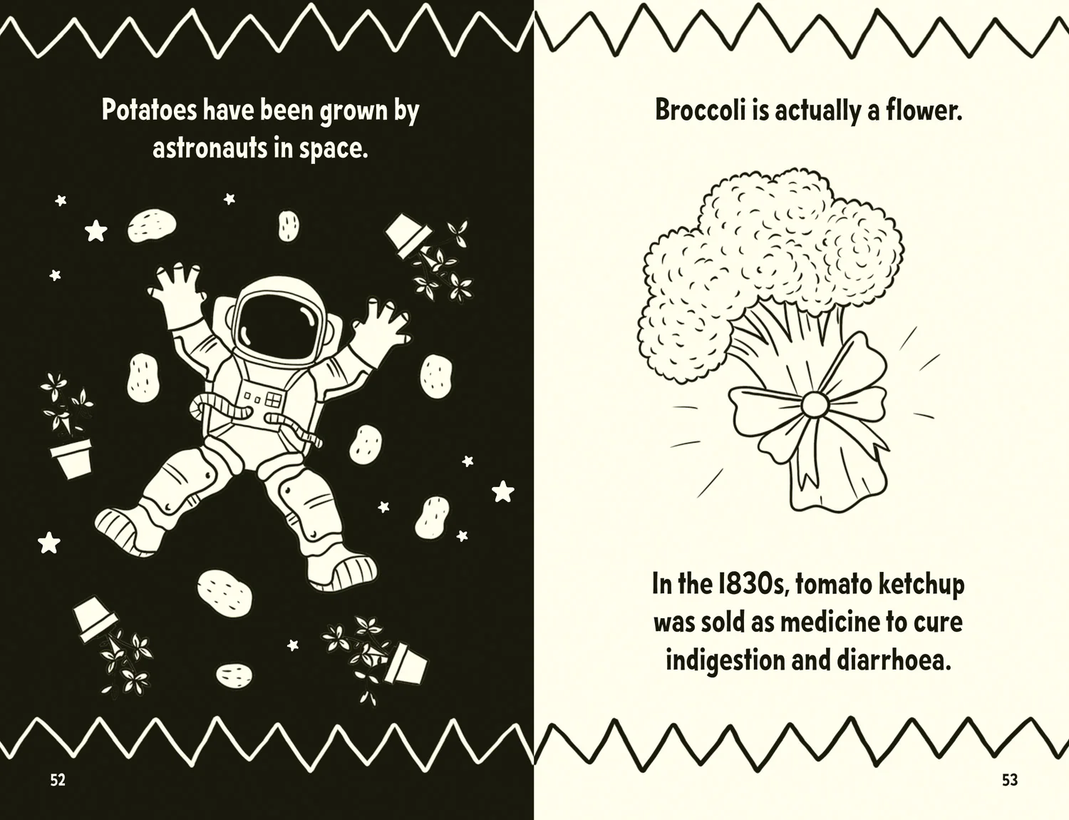 Amazing Facts Every Kid Needs to Know - Amazing Facts Every 7 Year Old Needs to Know - Image 4