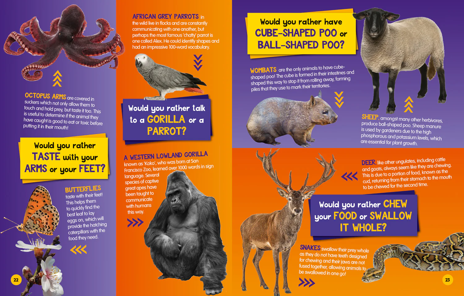 National Geographic Kids - Would you rather? Animals: A fun-filled family game book - Image 4