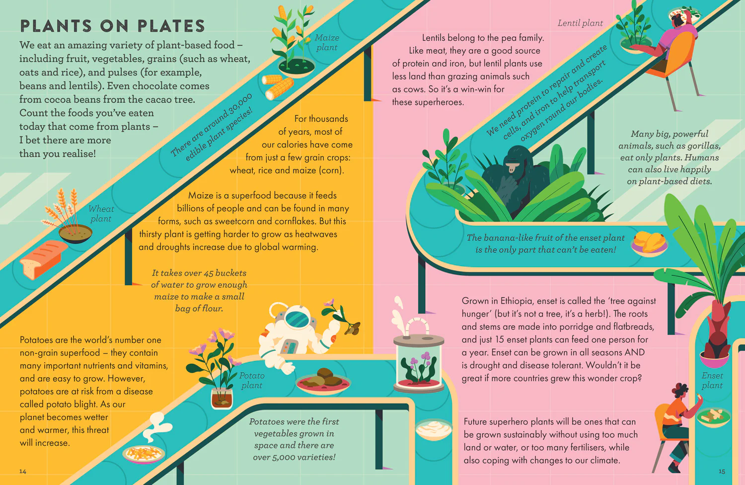 Little Experts - Superhero Plants - Image 4