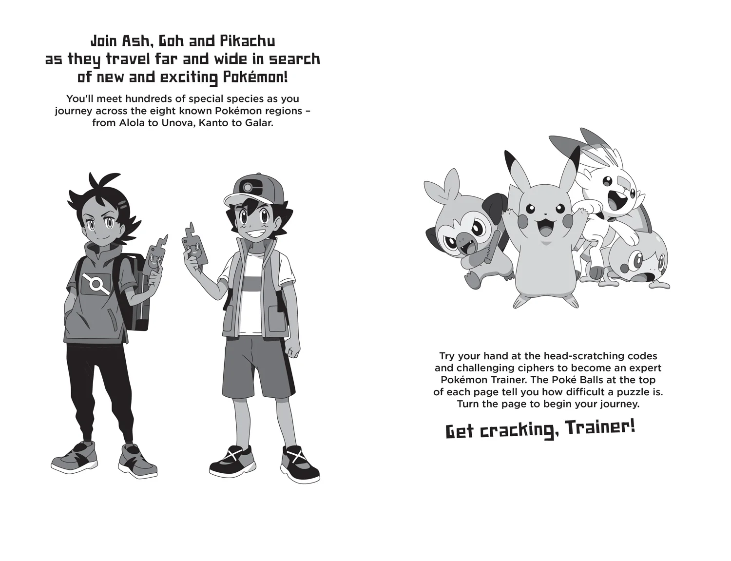 Pokémon Pocket Puzzles - Pokémon Code Breakers - Image 2