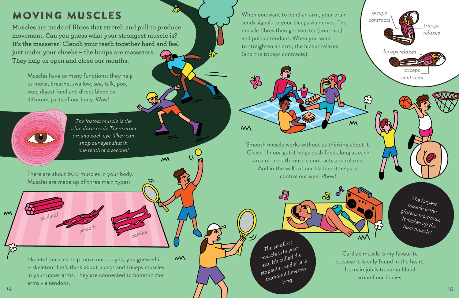Little Experts - Amazing Bodies - Image 2