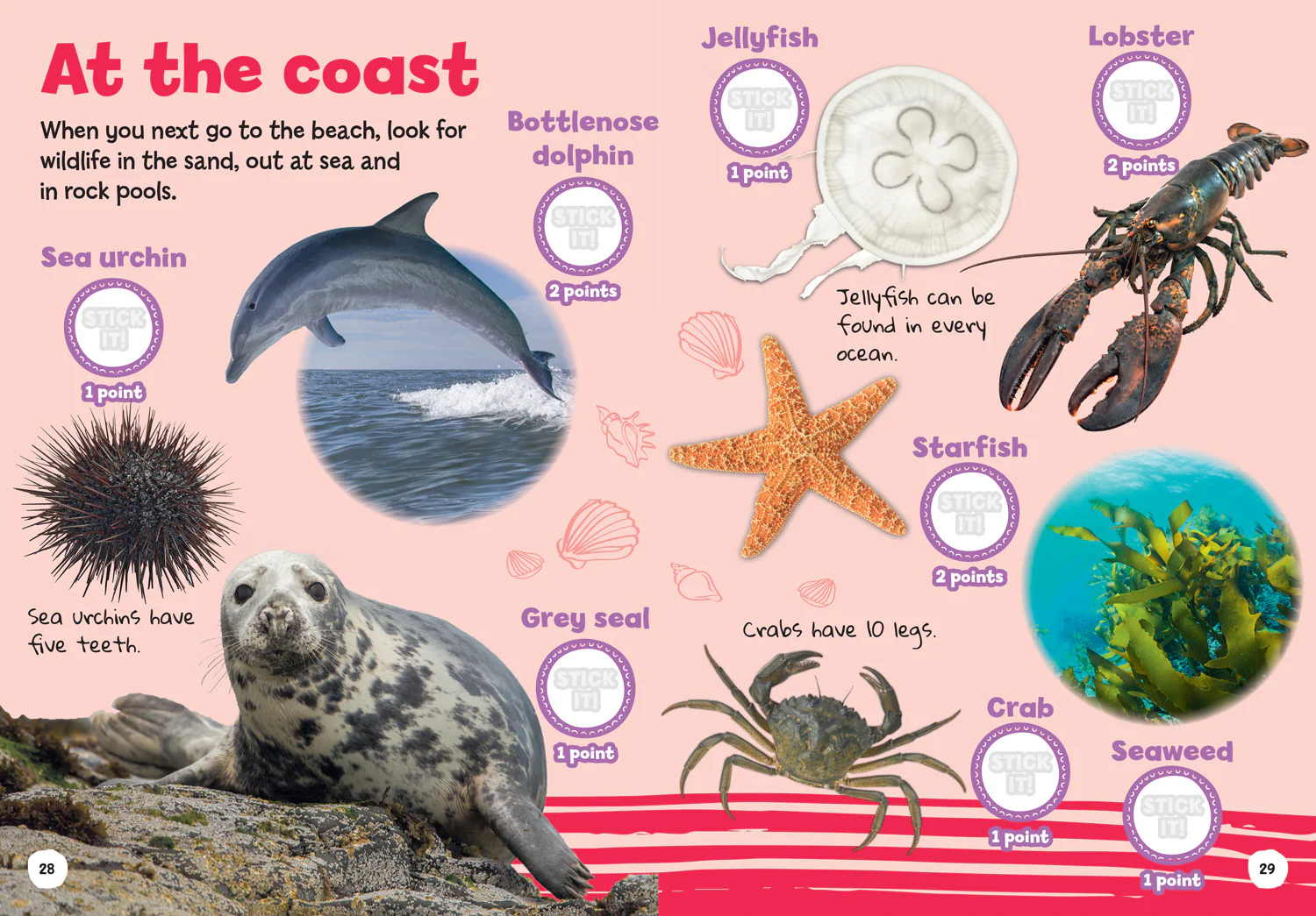 Collins Michelin i-SPY Guides - i-SPY My First Wildlife: Spy it! Stick it! - Image 3